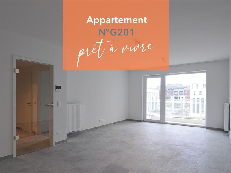 appartement-pret-a-vivre-a-namur-novia-g20113-53-2024-12:53:36.jpg